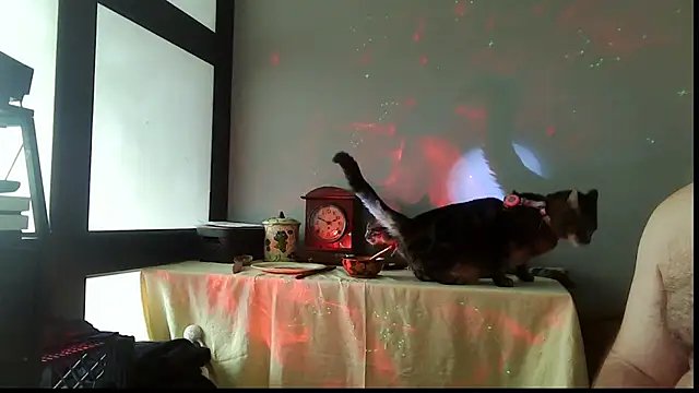 SexWorkerX online show from December 2025 02:46:02 PM