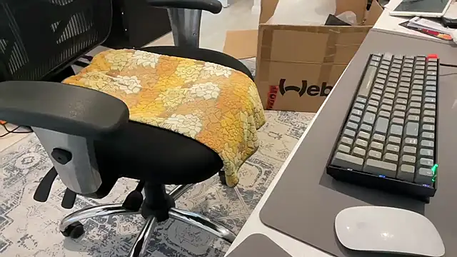 ProstatePleasures1 online show from December 2024 01:40:01 AM