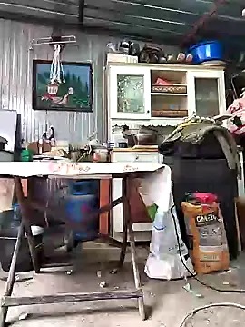 Sarpe84 online show from January 2025 09:17:01 AM