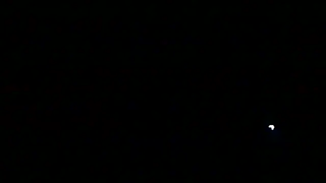 markluvskitty online show from March 2026 02:29:01 AM