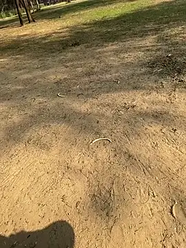 Snapshot of Cum_on_your_tityyy chatting on January 2026 09:03:01 AM Cum on your tityyy online show from January 2026 09:03:01 AM