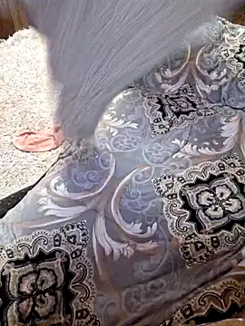  Kitti  online show from January 2025 08:49:01 PM