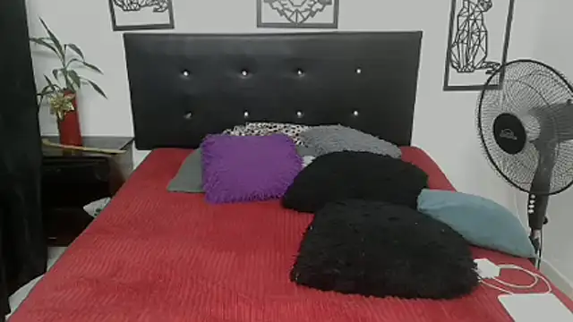 Shanttal0272 online show from November 2025 04:37:02 AM