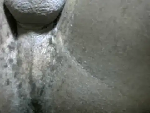 Whitelover online show from February 2025 12:30:02 AM