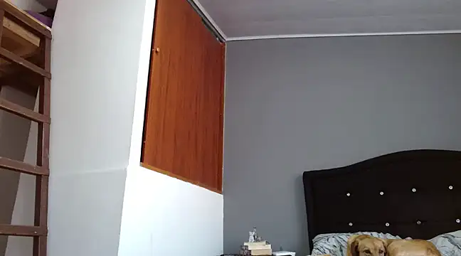 Snapshot of Emilia_1995 chatting on February 2025 12:42:01 PM Emilia 1995 online show from February 2025 12:42:01 PM