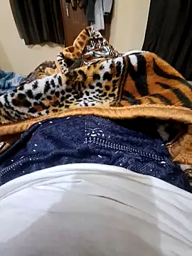 villagb12 online show from December 2024 07:24:01 PM