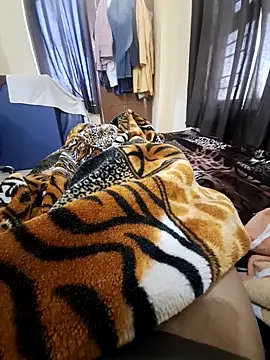 villagb12 online show from February 2025 04:15:01 AM