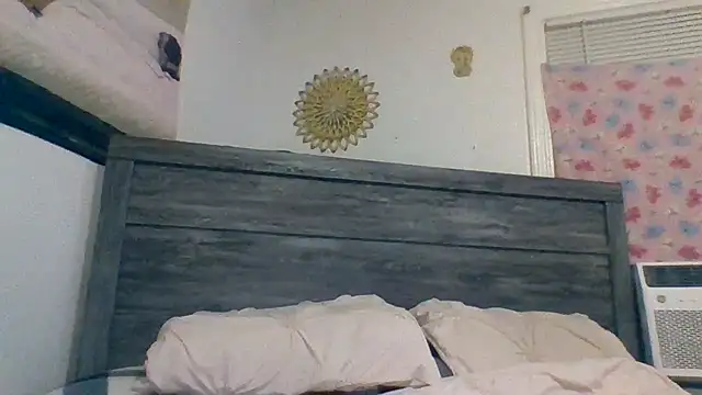 Snapshot of Houstonslong1 chatting on January 2025 04:30:01 AM Houstonslong1 online show from January 2025 04:30:01 AM