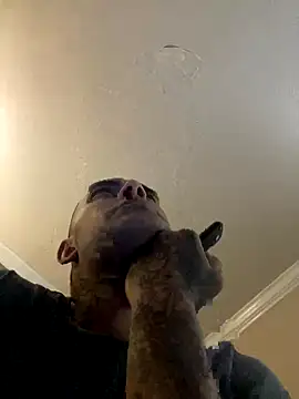 Snapshot of Houstonslong1 chatting on September 2025 08:38:01 AM Houstonslong1 online show from September 2025 08:38:01 AM