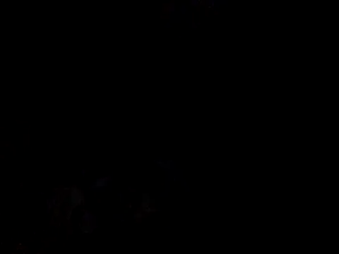 Skinnynerd online show from January 2026 07:59:01 PM