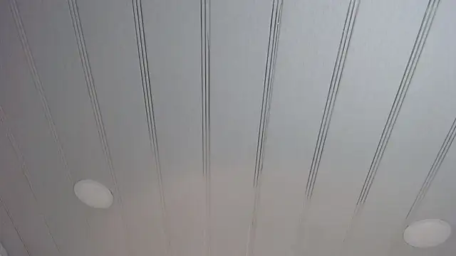 Snapshot of candy_lux_ chatting on February 2025 02:37:02 PM candy lux online show from February 2025 02:37:02 PM