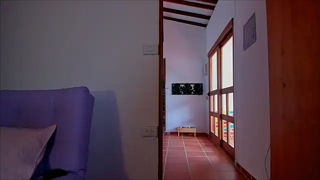 Lauren A online show from January 2025 05:41:01 PM