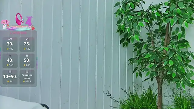 Snapshot of EmilyColle_ chatting on January 2026 07:52:02 PM EmilyColle online show from January 2026 07:52:02 PM