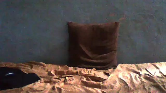 Snapshot of little__joy chatting on May 2026 10:31:01 AM little joy online show from May 2026 10:31:01 AM