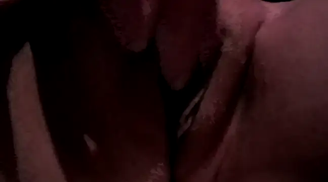 Everydayonli online show from December 2024 04:39:01 AM