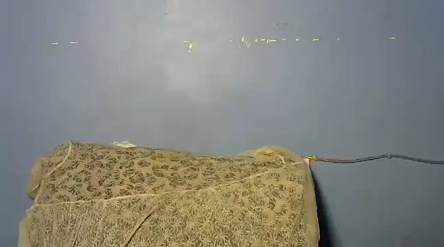 shishbabe online show from March 2025 04:49:01 AM