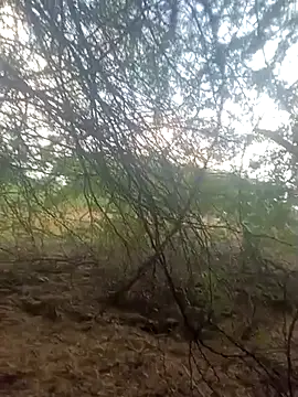 Snapshot of lovesuna chatting on September 2025 01:32:02 AM lovesuna online show from September 2025 01:32:02 AM