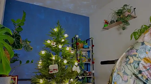  lightmyfire online show from December 2025 04:36:01 PM