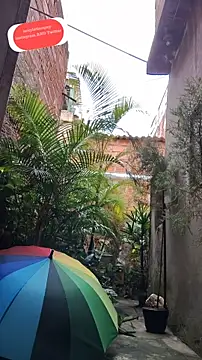 Snapshot of sexyboycolombi4 chatting on February 2025 01:38:02 PM sexyboycolombi4 online show from February 2025 01:38:02 PM