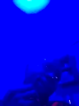 Snapshot of Brian_johns chatting on March 2026 09:08:01 PM Brian johns online show from March 2026 09:08:01 PM