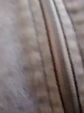 pleasure and fantasy online show from January 2025 03:07:01 PM