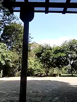 Rob and lizzy online show from December 2024 06:39:01 PM