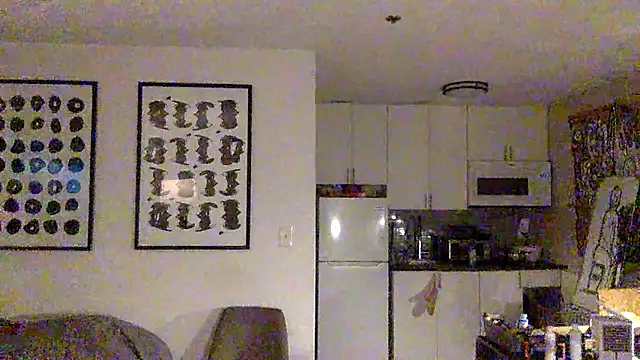 Snapshot of TheOnlyTwinTowers chatting on April 2026 04:51:01 AM TheOnlyTwinTowers online show from April 2026 04:51:01 AM