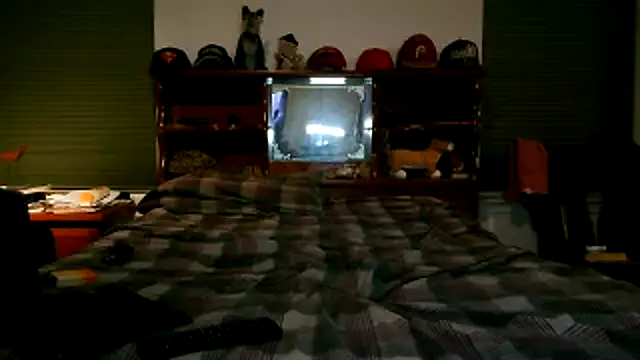 pimpdaddy4ever online show from November 2025 07:24:02 AM