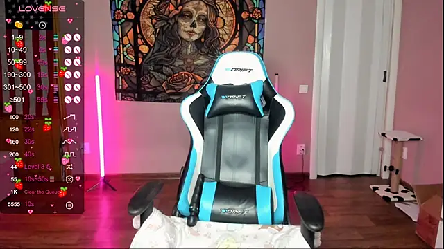 Project hisoka online show from January 2026 04:09:02 PM