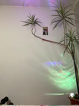 derek1494 online show from January 2026 10:02:02 PM