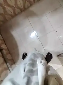 bas1cooks online show from December 2024 05:34:01 AM