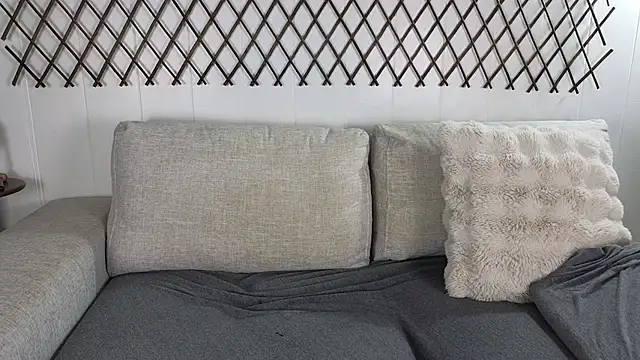 aryafrei online show from March 2026 03:20:01 AM