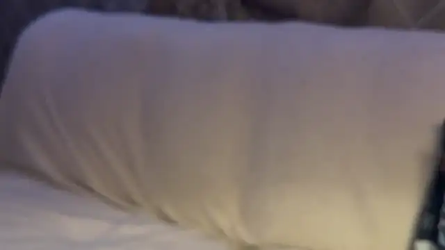 max o max42 online show from March 2025 12:39:02 AM