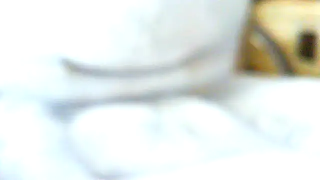 Snapshot of volfic@xh chatting on April 2026 08:44:02 AM volficxh online show from April 2026 08:44:02 AM