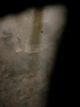 Snapshot of Yasha_14C_Creator chatting on October 2025 04:57:02 AM Yasha 14C Creator online show from October 2025 04:57:02 AM