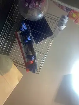 Snapshot of baruel-10 chatting on March 2025 09:37:02 PM baruel-10 online show from March 2025 09:37:02 PM