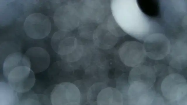 Snapshot of 0815lukas2024 chatting on December 2025 03:58:02 AM 0815lukas2024 online show from December 2025 03:58:02 AM