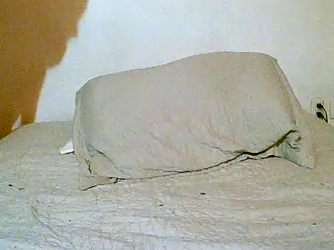 pollarikaaa online show from December 2025 12:05:01 AM