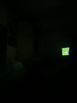 Snapshot of Kamaleonix chatting on January 2025 11:32:02 PM Kamaleonix online show from January 2025 11:32:02 PM