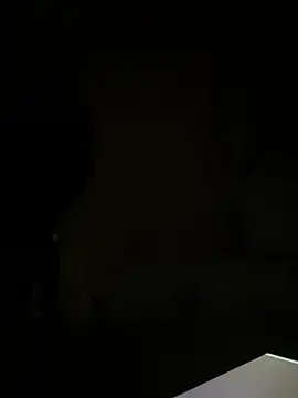 Snapshot of Kamaleonix chatting on February 2026 09:55:01 PM Kamaleonix online show from February 2026 09:55:01 PM