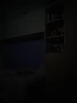 Snapshot of Kamaleonix chatting on February 2026 09:15:02 PM Kamaleonix online show from February 2026 09:15:02 PM