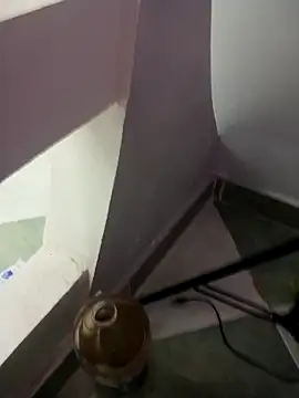 Snapshot of ListedLoin chatting on March 2025 01:03:02 PM ListedLoin online show from March 2025 01:03:02 PM