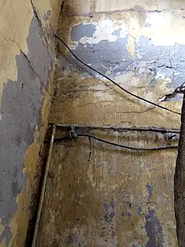 ListedLoin online show from February 2026 08:32:01 AM