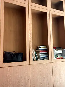 Snapshot of Eliza-E chatting on April 2026 01:17:01 AM Eliza-E online show from April 2026 01:17:01 AM