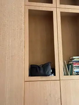 Snapshot of Eliza-E chatting on April 2026 02:12:02 AM Eliza-E online show from April 2026 02:12:02 AM