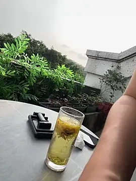 Snapshot of Eliza-E chatting on April 2026 12:13:01 AM Eliza-E online show from April 2026 12:13:01 AM