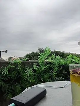 Snapshot of Eliza-E chatting on April 2026 12:13:01 AM Eliza-E online show from April 2026 12:13:01 AM