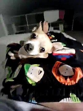 Snapshot of litleboy92 chatting on November 2025 01:25:02 AM litleboy92 online show from November 2025 01:25:02 AM