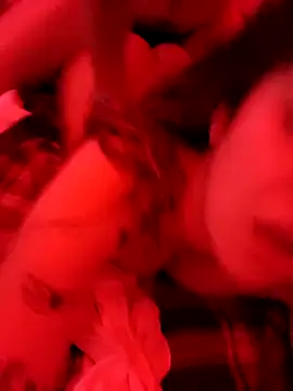 Elenitacandy online show from November 2025 04:18:02 PM