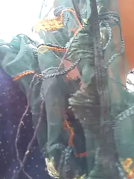 Simaran bhabhi online show from March 2025 04:09:01 AM